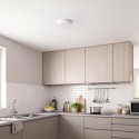 Extractor Continuo Inteligente Gonal Focus